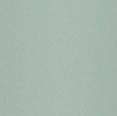 Teal - Stainless Steel